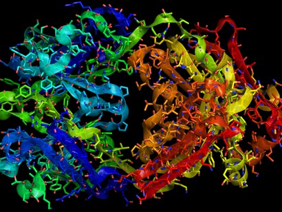 Cellule al microscopio