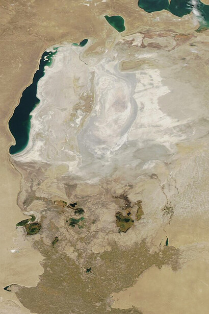 An August 2010 image of the Aral Sea captured by NASA's Terra satellite using the Moderate Resolution Imaging Spectroradiometer (MODIS)