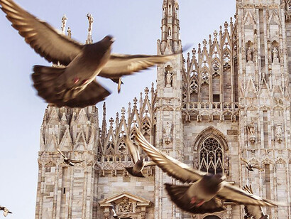 Le guglie del Duomo di Milano.  Photo credits Veneranda Fabbrica del Duomo 