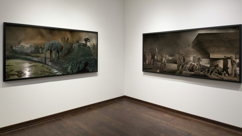 Nick Brandt. This Empty World. Courtesy of Fahey/Klein Gallery