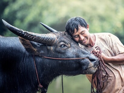 Campesino 