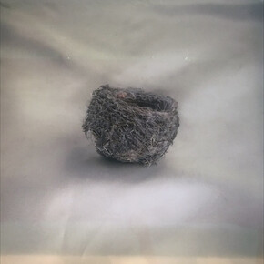 Nests. Courtesy of Brickworks Gallery