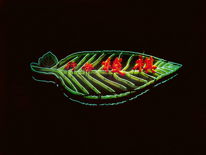 Pascal Greco, Hong Kong Neon, 2021 