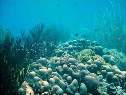 Venezuela. El fondo marino en el Archipiélago de Los Roques