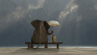 Nel mondo oggi c’è bisogno di gentilezza