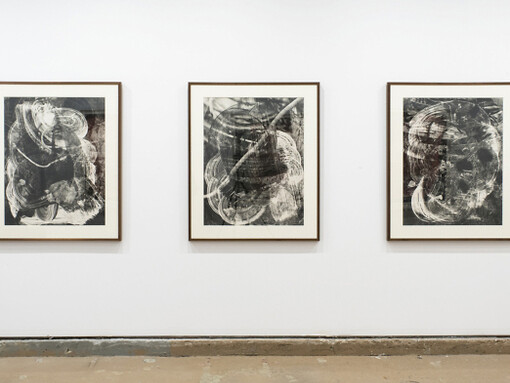 Wil Murray, Exhibition view. Courtesy of Vitrine