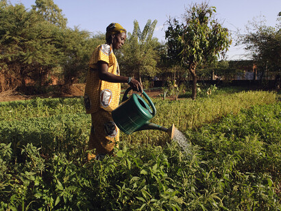 Une paysan en Afrique
