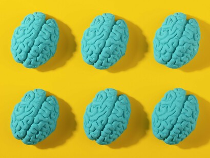 Six sculpted brains displayed side by side, reflecting the transcriptome's role in shaping neural activity and cognition
