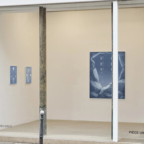 Theodora Allen, Pierce the valley, exhibition view. Courtesy of Massimo De Carlo Pièce Unique