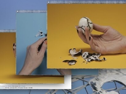 Camille Henrot, video still, Grosse Fatigue, 2013