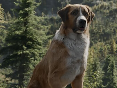 Una scena del film Il richiamo della foresta (2020)