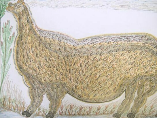 Manuel Bonifacio, Jungle Animal, © Manuel Bonifacio