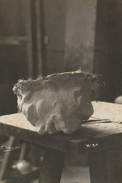 Charles Bodmer (1854-1934), Tęte de Saint Jean-Baptiste en plâtre, Vers 1887, épreuve gélatino
argentique, H. 16,00 L. 11,60 cm Ph. 2507