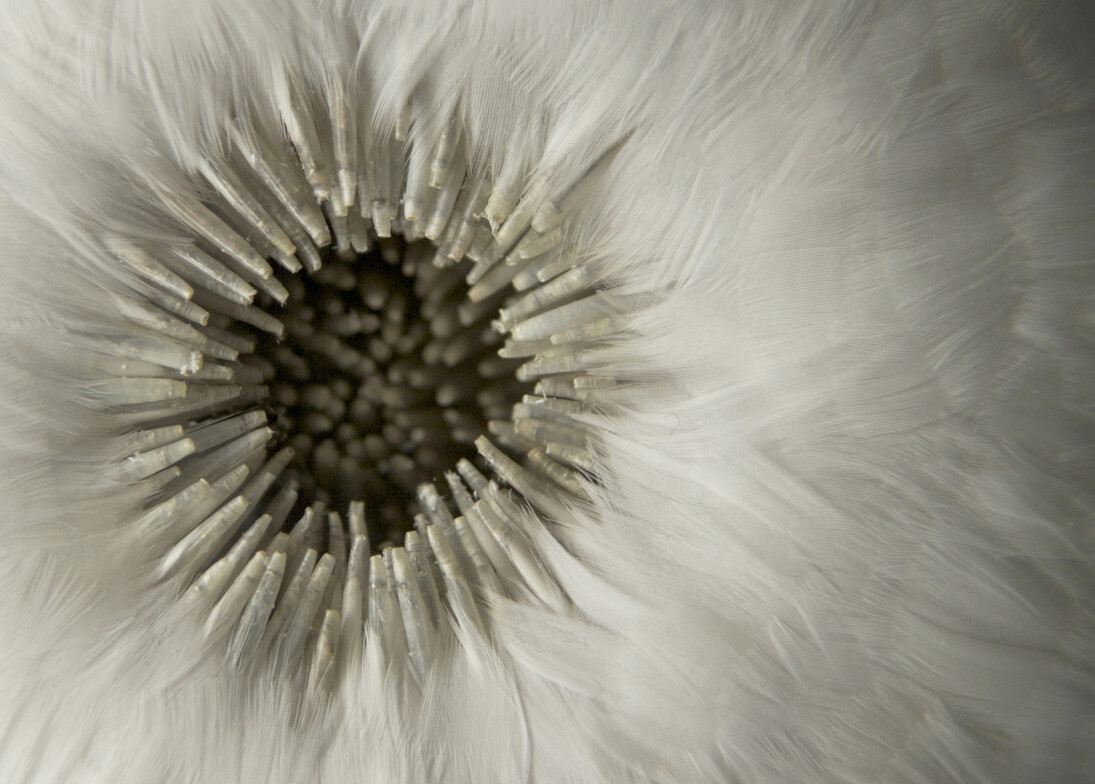 Kate MccGwire, Fissure detail. Photo JP Bland