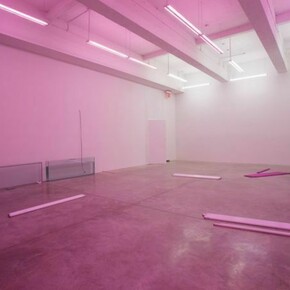 Exhibition view, We are the meeting. Photo: Jean Vong. Courtesy the artist and Casey Kaplan, New York