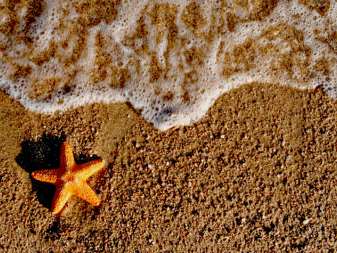isola di Bunaken dove si trovano le stelle marine dalle fogge più strabilianti