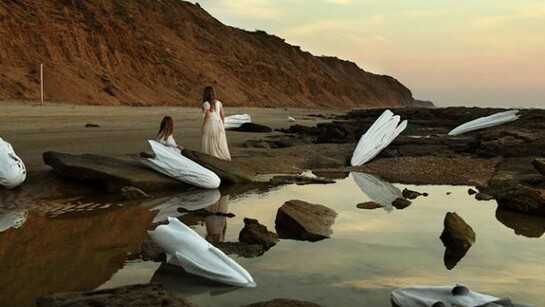 Shony Rivnay, Shells, C-print photograph, 2014