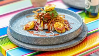 A colorful dish, featuring seafood topped with avocado and sauce, embodies the vibrant and diverse culinary landscape of Mexico City, where traditional ingredients and innovative approaches create a rich tapestry of flavors for every palate