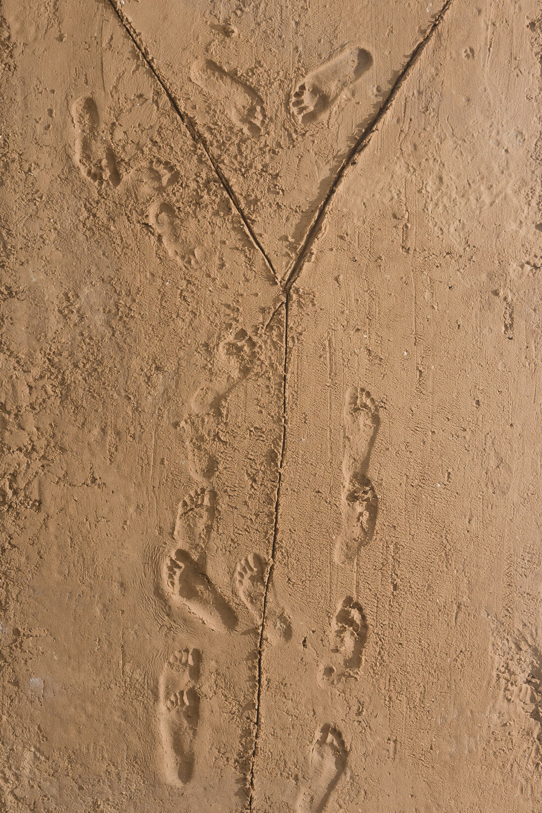 Sigalit Landau, Sand Flag, 2013. Sand and bonding materials, 101 x 180 x 5 cm. Photo: Yotam From. Courtesy the artist and Marlborough Contemporary