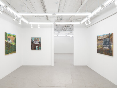 Ann Toebbe, Field and stream of consciousness, exhibition view. Courtesy of Nicelle Beauchene Gallery
