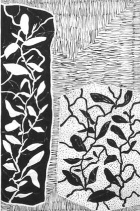 Manuel Baptista - Desenhos
