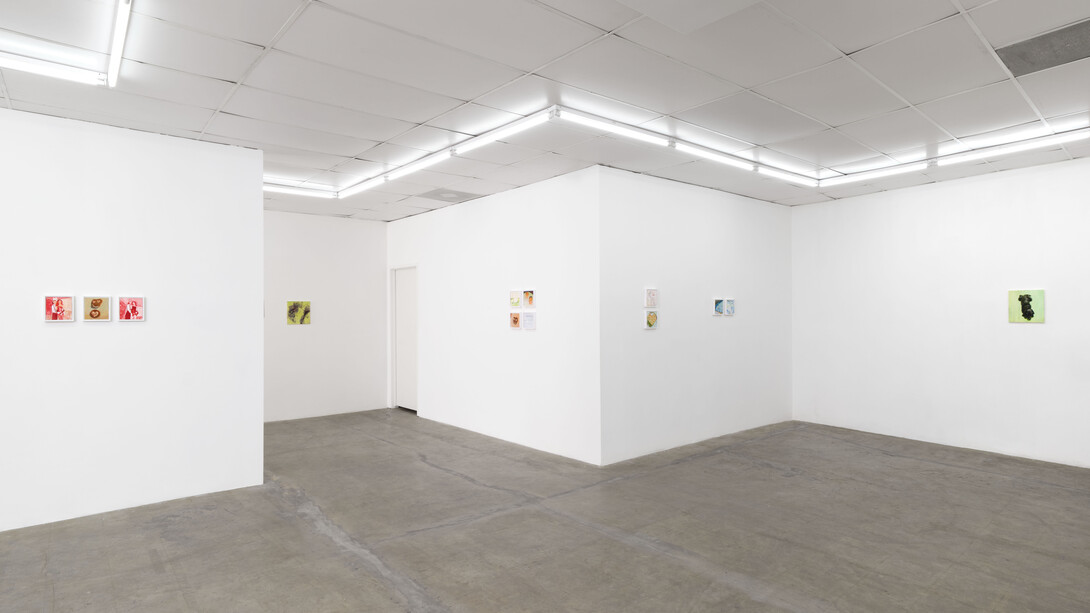 Caroline Weinstock, The dead pet, exhibition view. Courtesy of Bel Ami