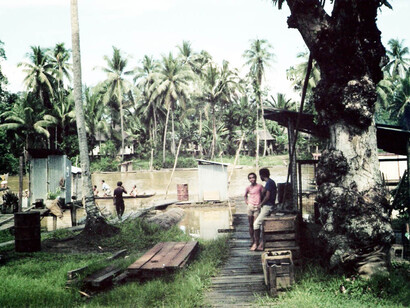 Scorci di vita nella foresta del Kalimantan