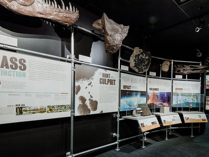 Dinosaur Gallery. Courtesy of COSI