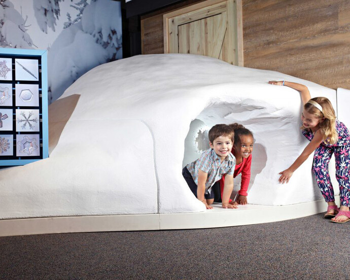 Wild Weather, Exhibition view. Courtesy of Witte Museum