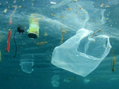 Los plásticos de un solo uso que flotan en el océano son uno de los mayores contaminantes de nuestro planeta