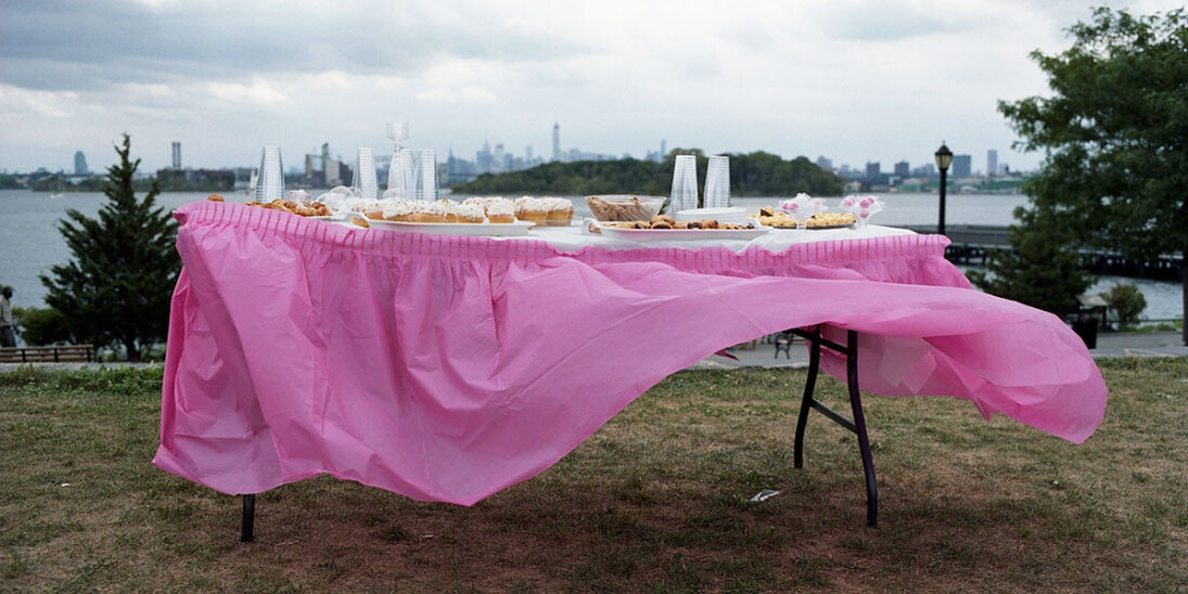 Susannah Ray: A Further Shore. Courtesy of Bronx Museum of the Arts 