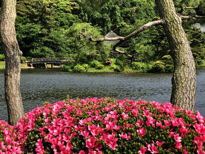 Yokohama. Sankeien Garden and pond © Alma Reyes