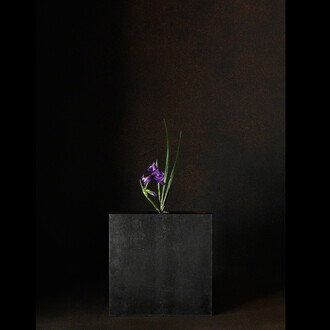 A Stage. Courtesy of Galerie marie-robin