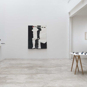 Anne-Marie Schneider, Ecriture allongée, vue d'exposition. Avec l'aimable autorisation de la galerie Michel Rein