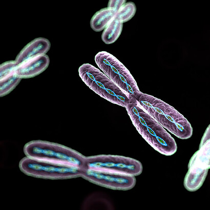 Genetic analysis upends 19th century categories of race, color, ethnicity, nation and geography