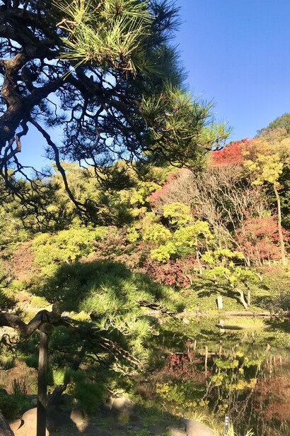 Higo Hosokawa Garden © Alma Reyes