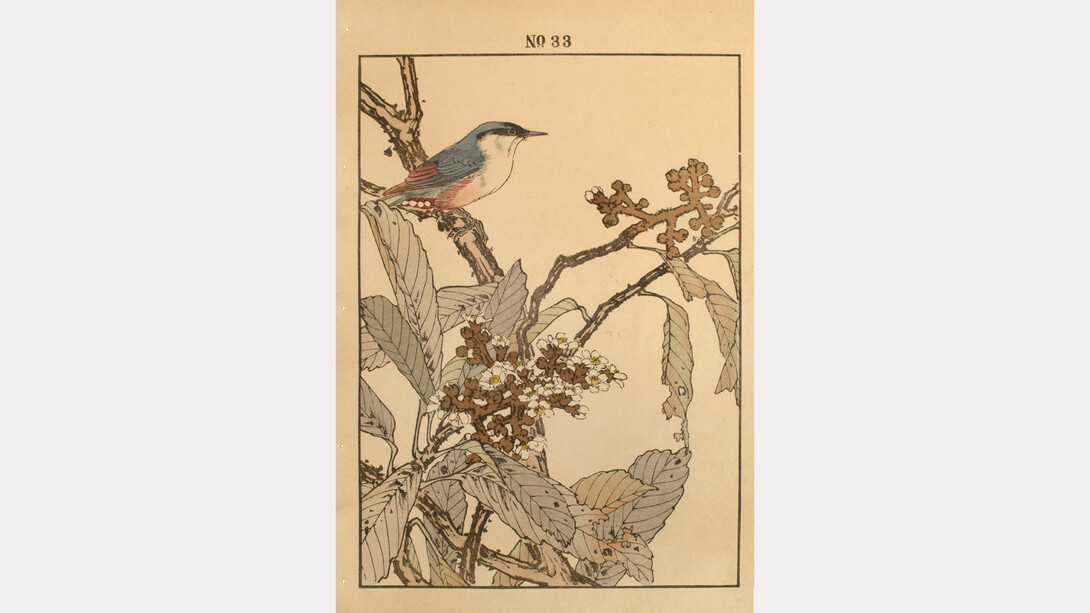 Keinen (1845 - 1923),
Nuthatch and Loquat, 1892. 
Keinen’s Flower-and-Bird Painting Manual (Keinen kacho gafu),
Woodblock Print, 
14.5 x 10.25 (inches). Courtesy of the artist and Ronin Gallery