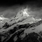 Irene Kung, Diablerets 2, 40 x 80 cm