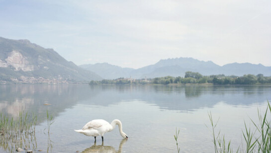 Storie Immaginate in Luoghi Reali. Courtesy of Museo di Fotografia Contemporanea