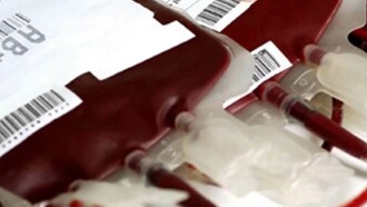 Bolsas de sangre donada