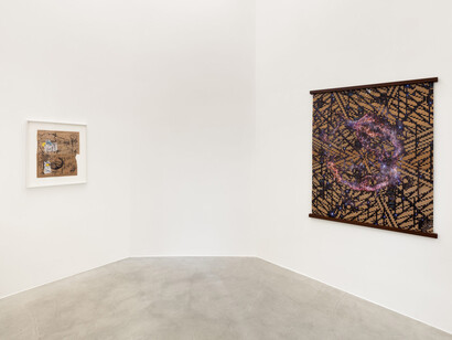 Clarissa Tossin, Piante vagabonde, veduta della mostra. Cortesia di kaufmann repetto