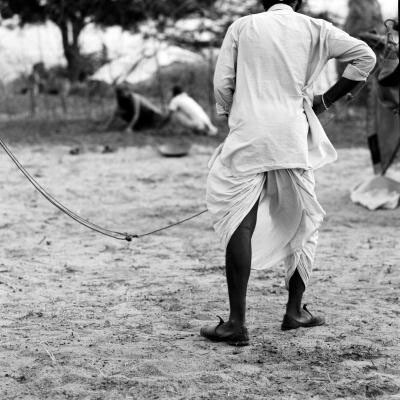 Camel. Courtesy of Pitt Rivers Museum