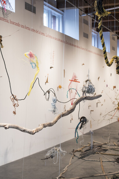 Cecilia Vicuña. Courtesy of Henry Art Gallery