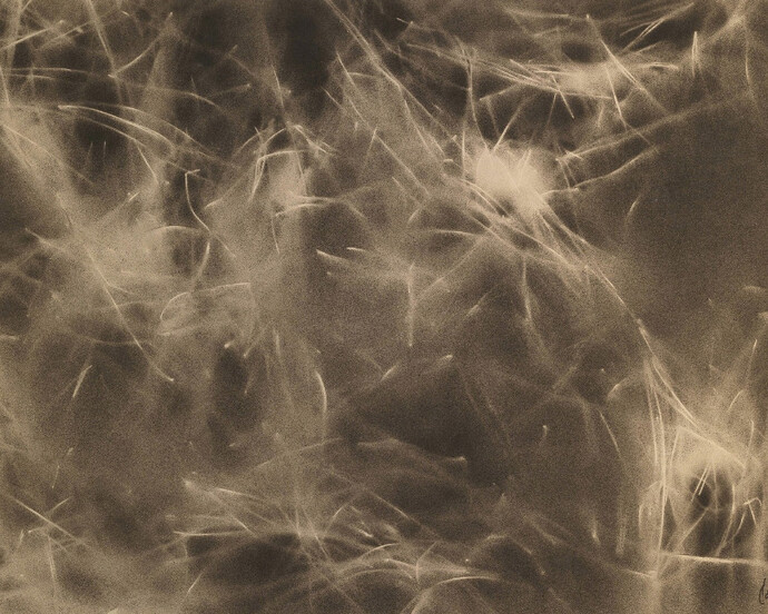 Corrado Cagli, Frenzy (1951), oil on canvassed paper, signed lower right, 49.5 x 69.5 cm (19 1/2 x 27 3/8 in) © Courtesy of Archivio Corrado Cagli and Brun Fine Art.