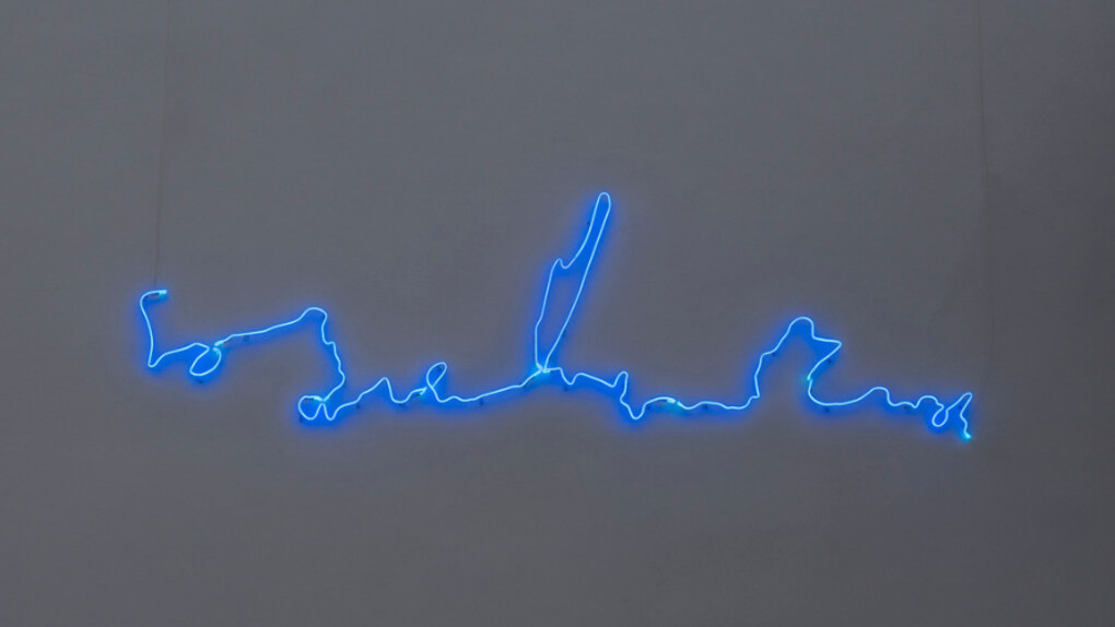 Agnieszka Kurant. Courtesy of Fortes D’Aloia & Gabriel
