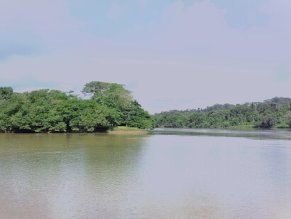 La esquina de La Trinidad, vista desde la ribera derecha del río Sarapiquí, Costa Rica. Foto: Luko Hilje