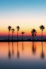 Miami, Florida, USA, nicknamed "the magic city"