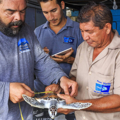 Desde pequeño, Pedro mostró fascinación por la naturaleza, especialmente por los insectos y reptiles, lo que marcó su vida profesional.
A pesar de las dificultades económicas y familiares, persistió en su pasión por la biología y el estudio de los animales marinos