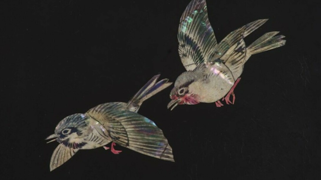 Collezione Orientale. Courtesy of Museo Civico Pier Alessandro Garda
