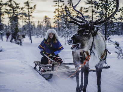 Eco Tourism